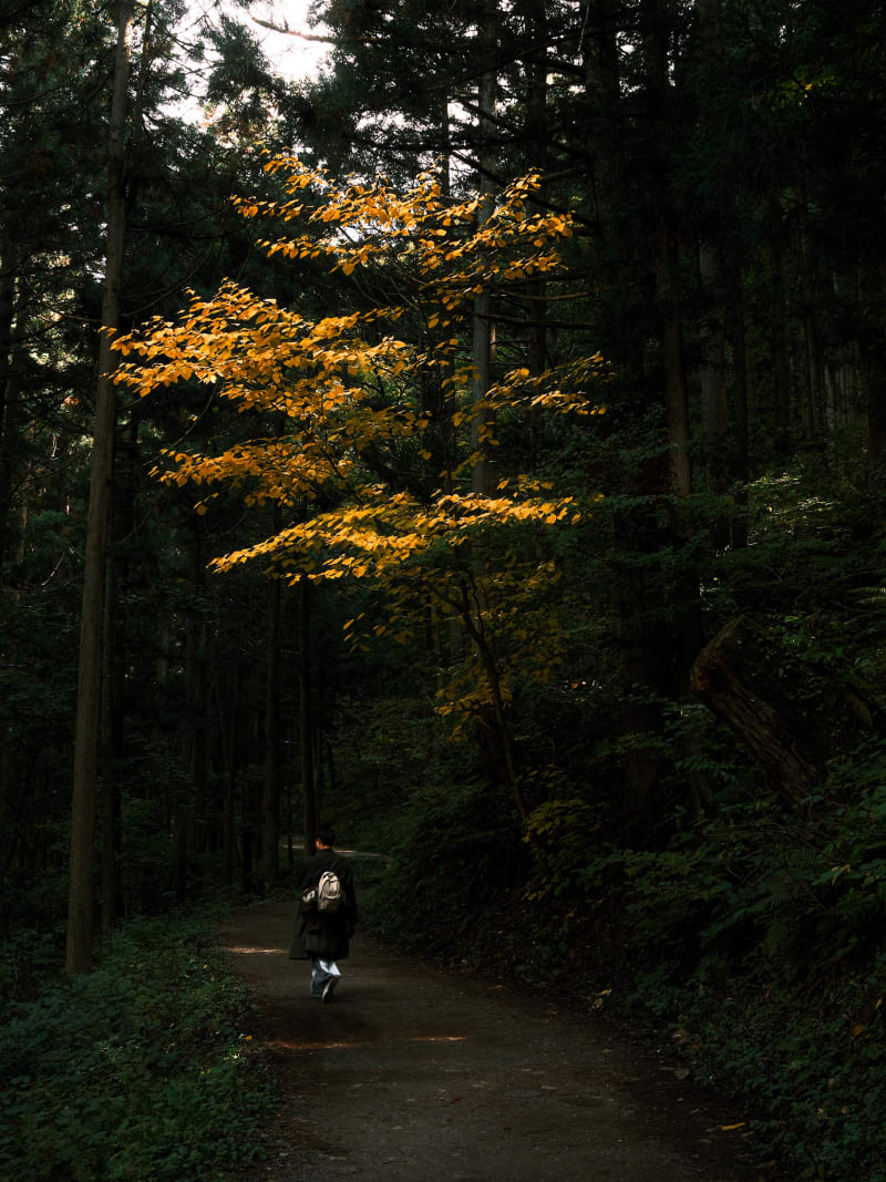 Central Japan — Japan travel photography — 9