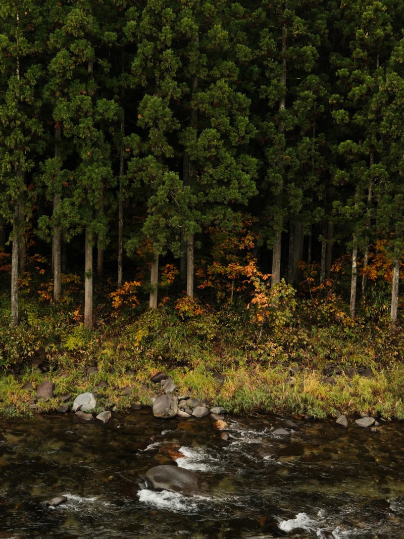 Central Japan — Japan travel photography — 10