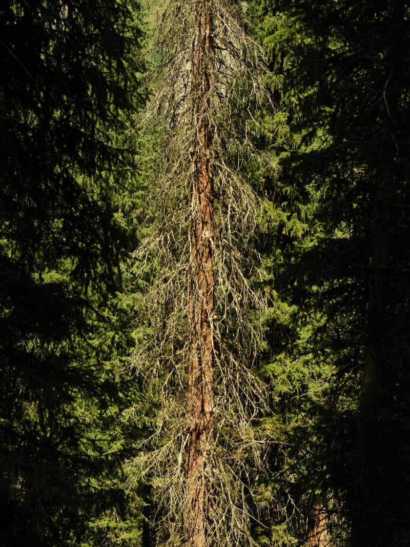 Kazakhstan travel photography — 4