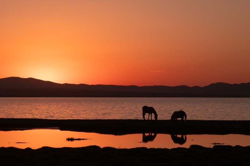 Kyrgyzstan travel photography — 3