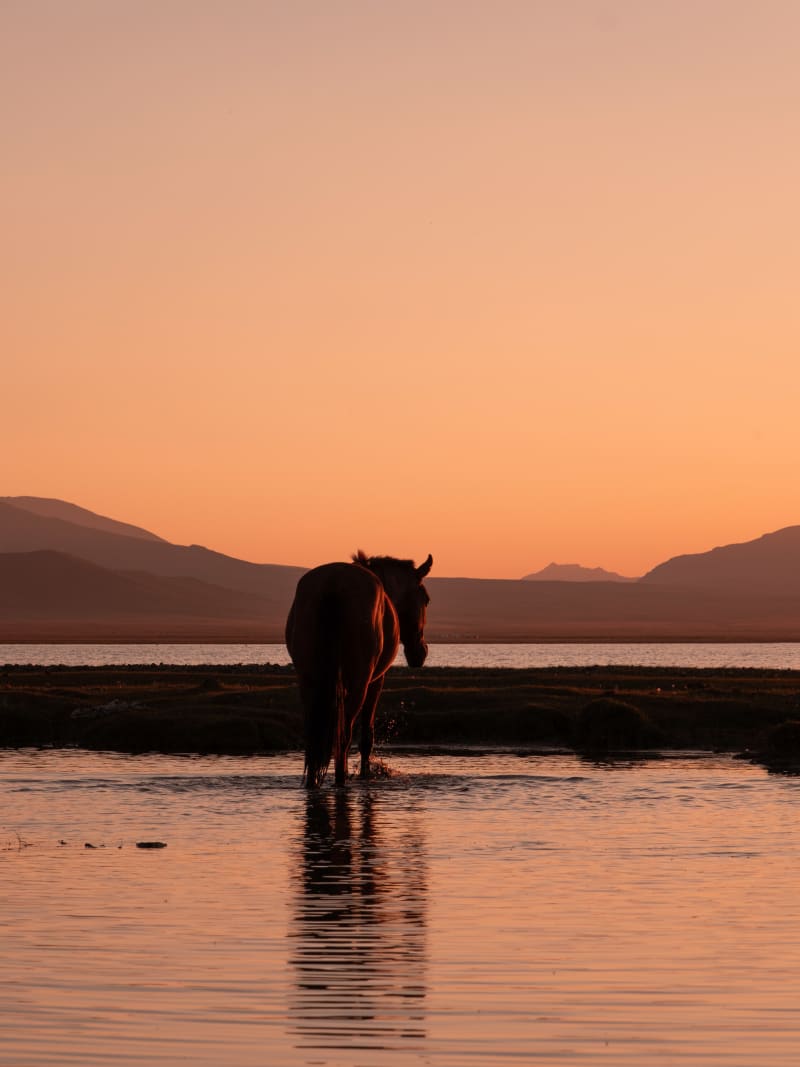 Kyrgyzstan travel photography — 14