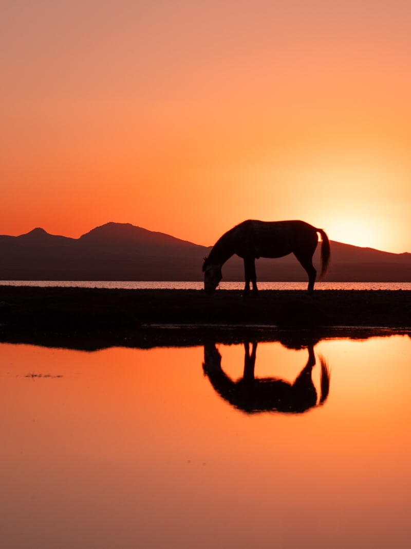 Kyrgyzstan travel photography — 16