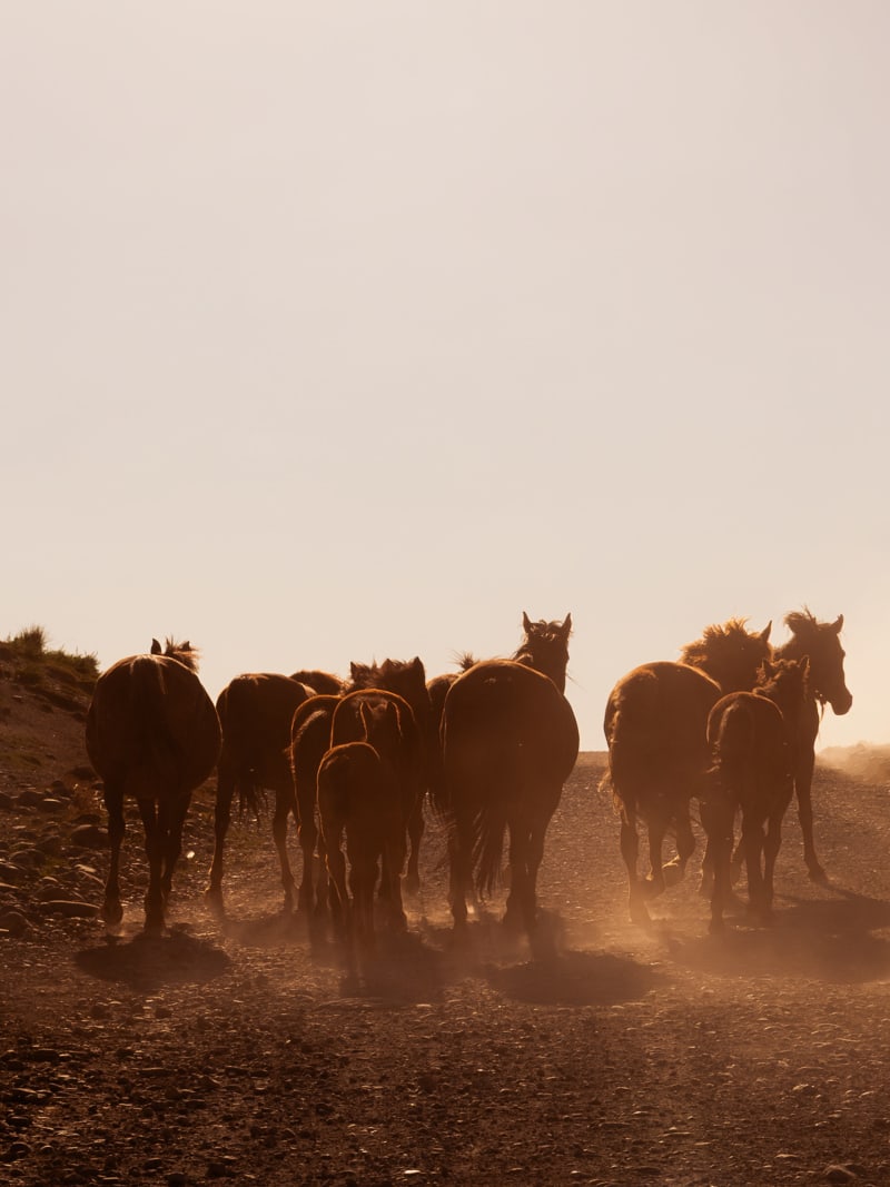Kyrgyzstan travel photography — 22