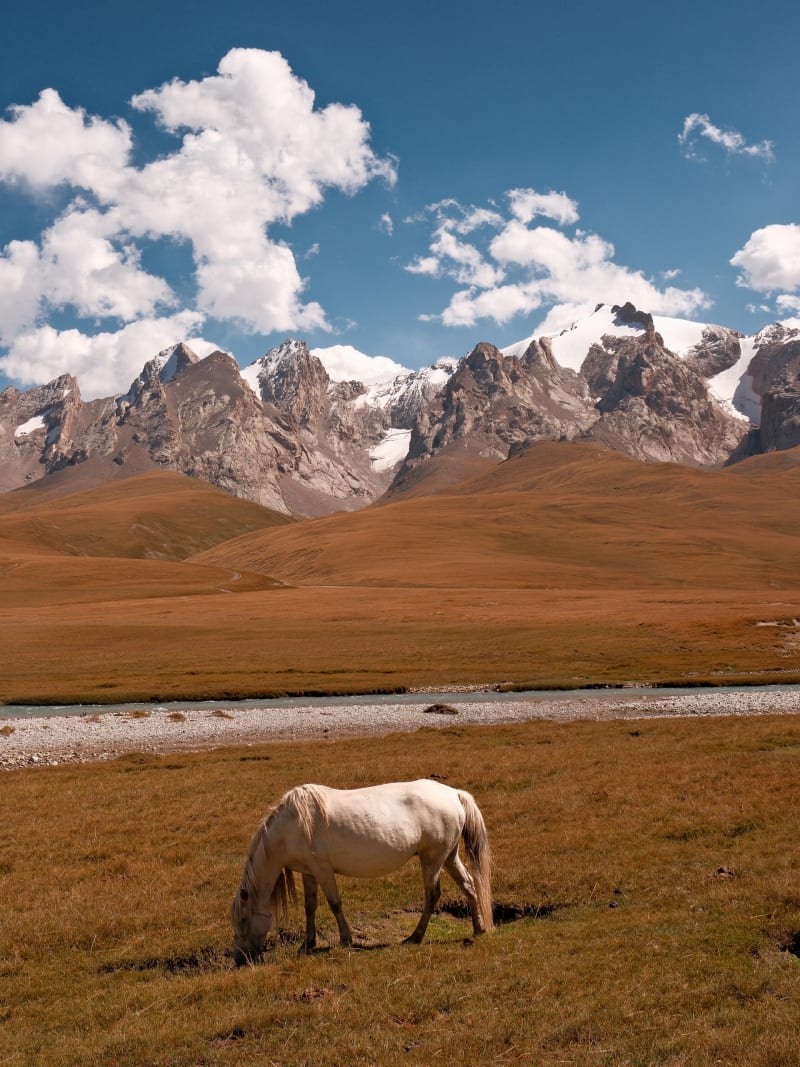 Kyrgyzstan travel photography — 28