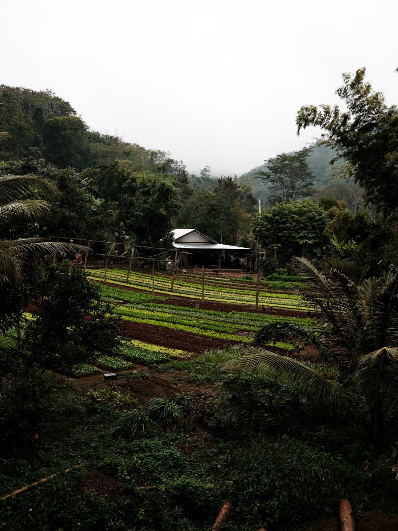 Laos travel photography — 19