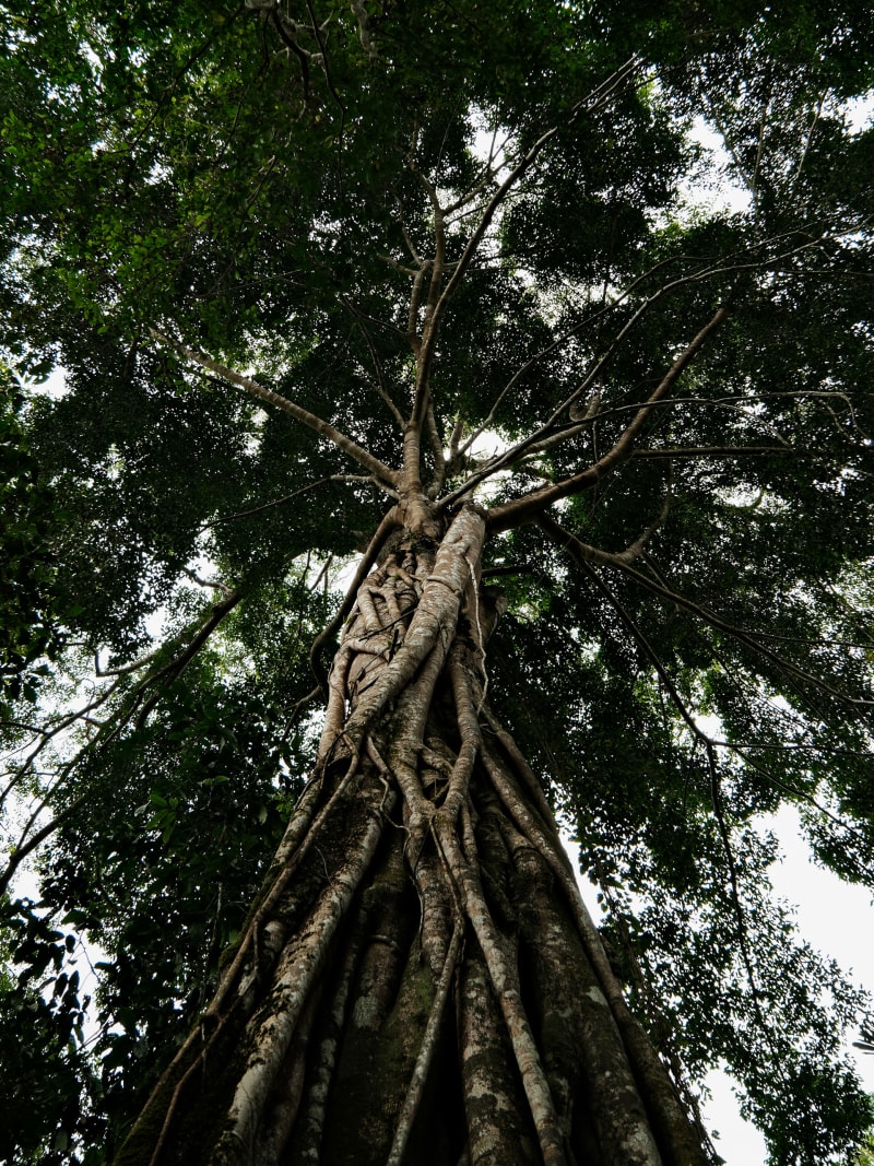 Laos travel photography — 20