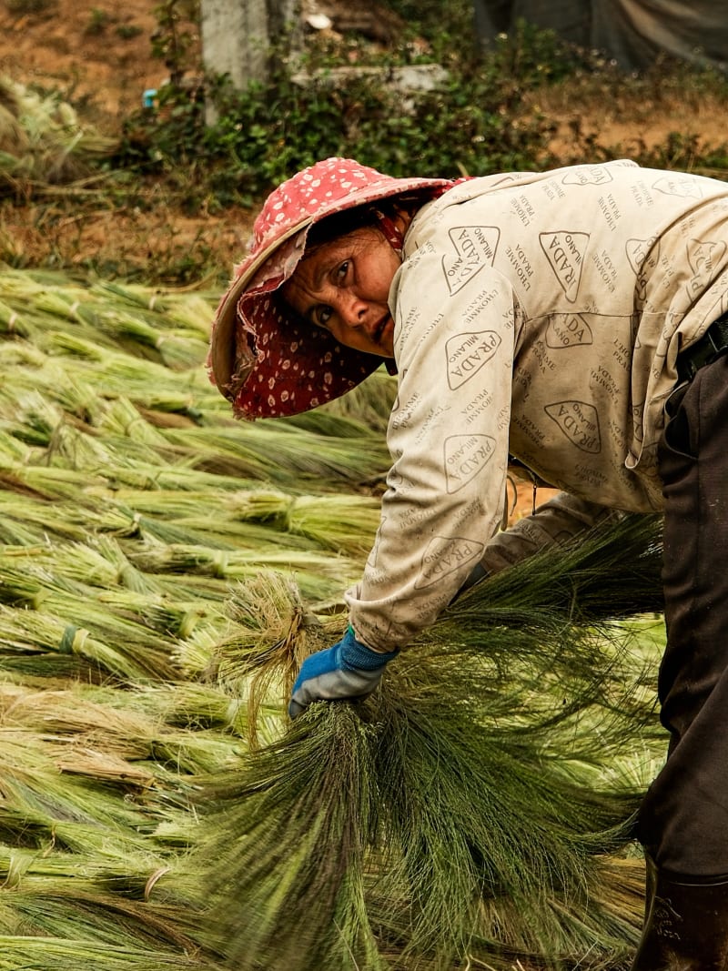 Laos travel photography — 44