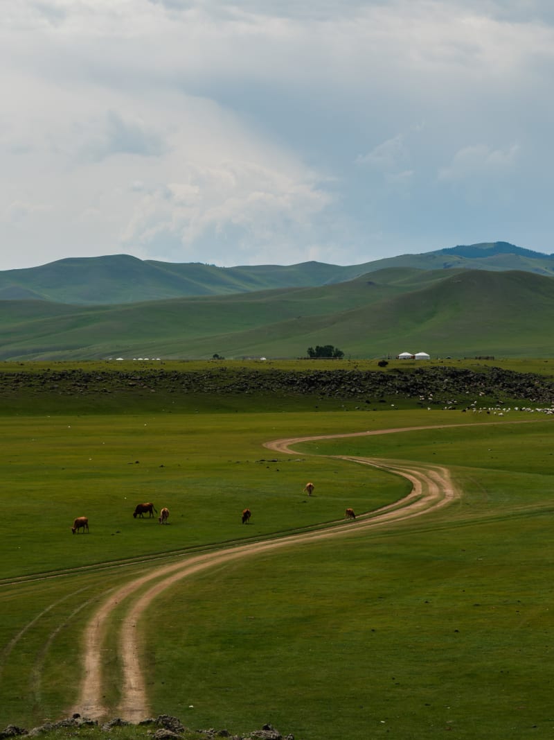 Mongolia travel photography — 15