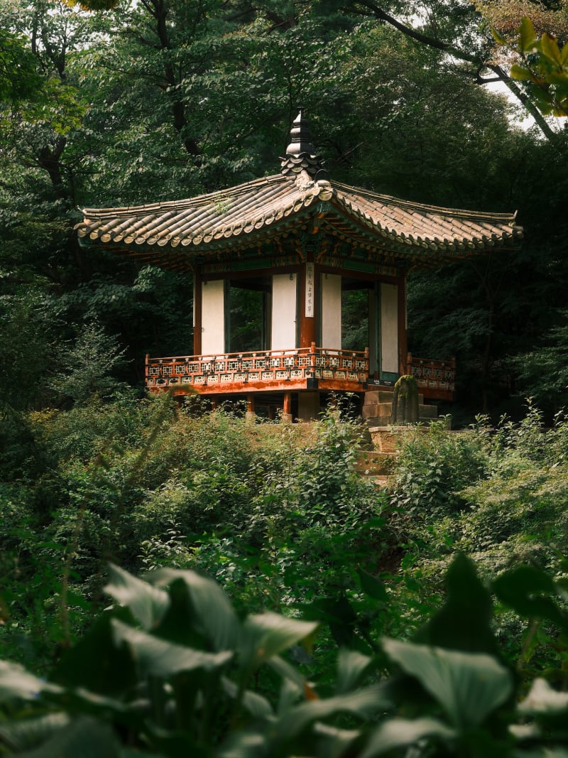 South Korea travel photography — 12