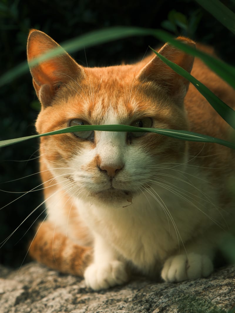 South Korea travel photography — 13