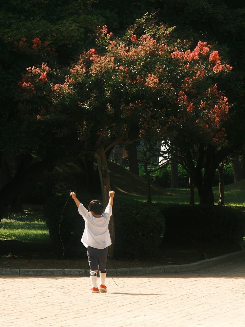 South Korea travel photography — 26