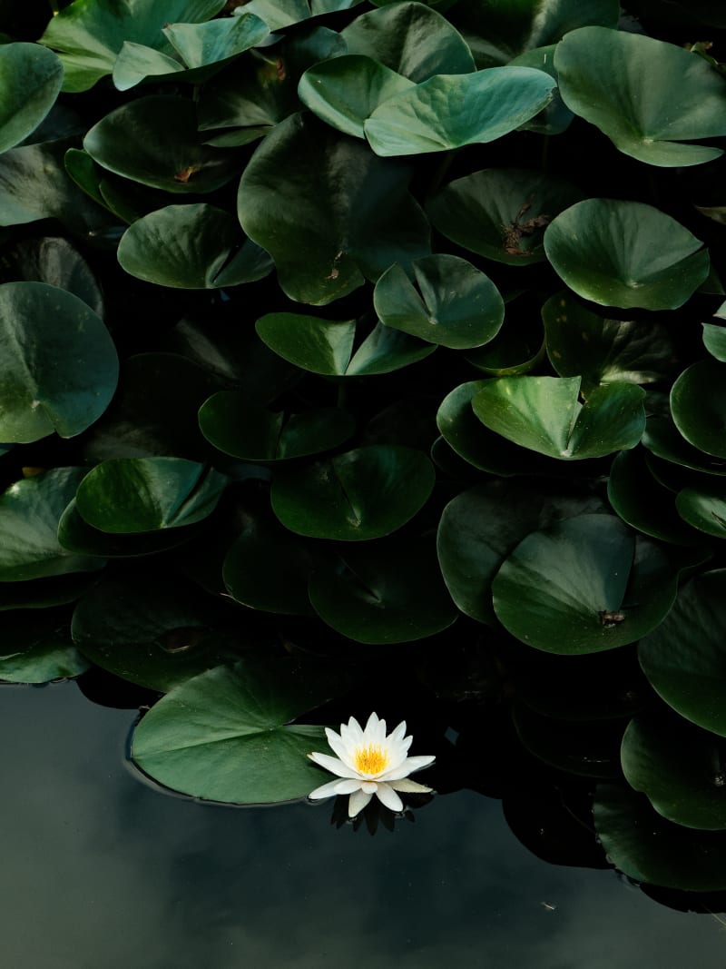 South Korea travel photography — 30