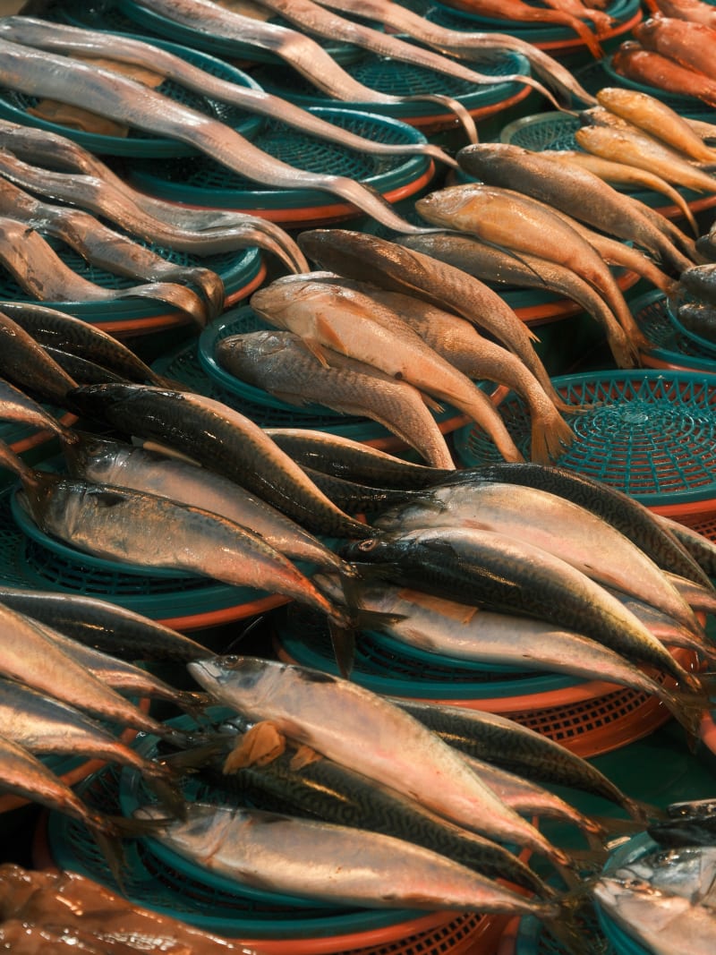 South Korea travel photography — 34