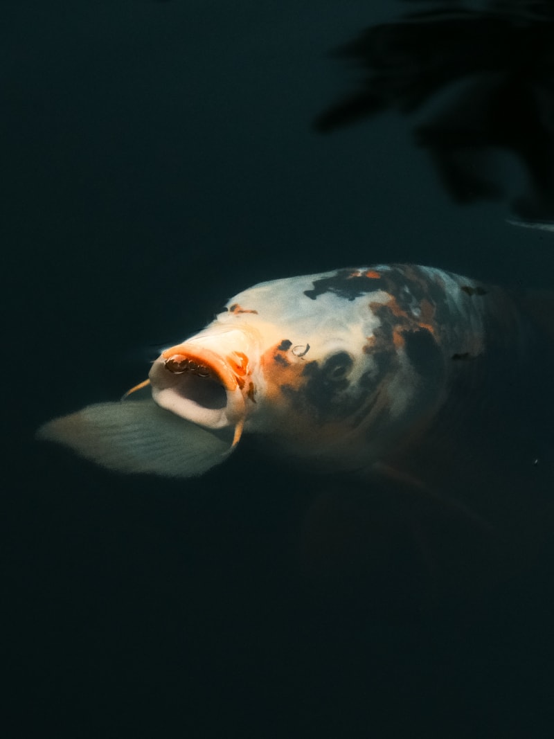 South Korea travel photography — 36