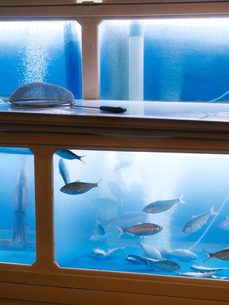 South Korea travel photography — 37