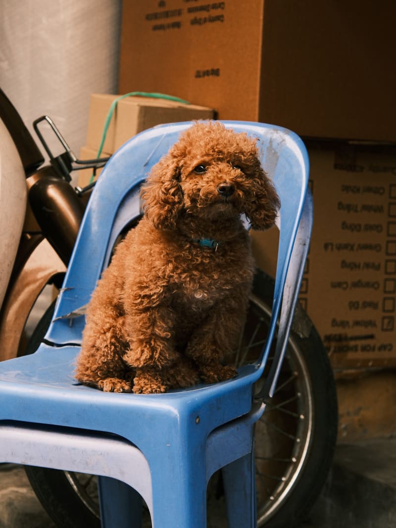 Vietnam travel photography — 13