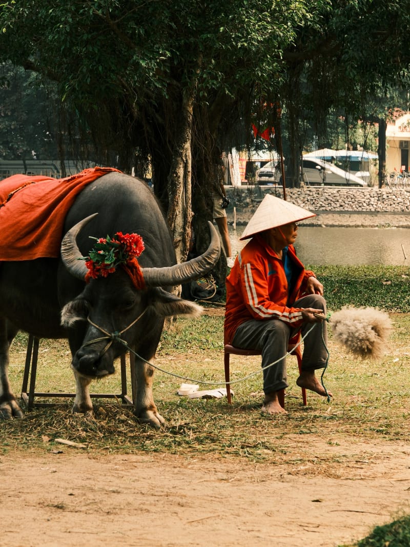 Vietnam travel photography — 18