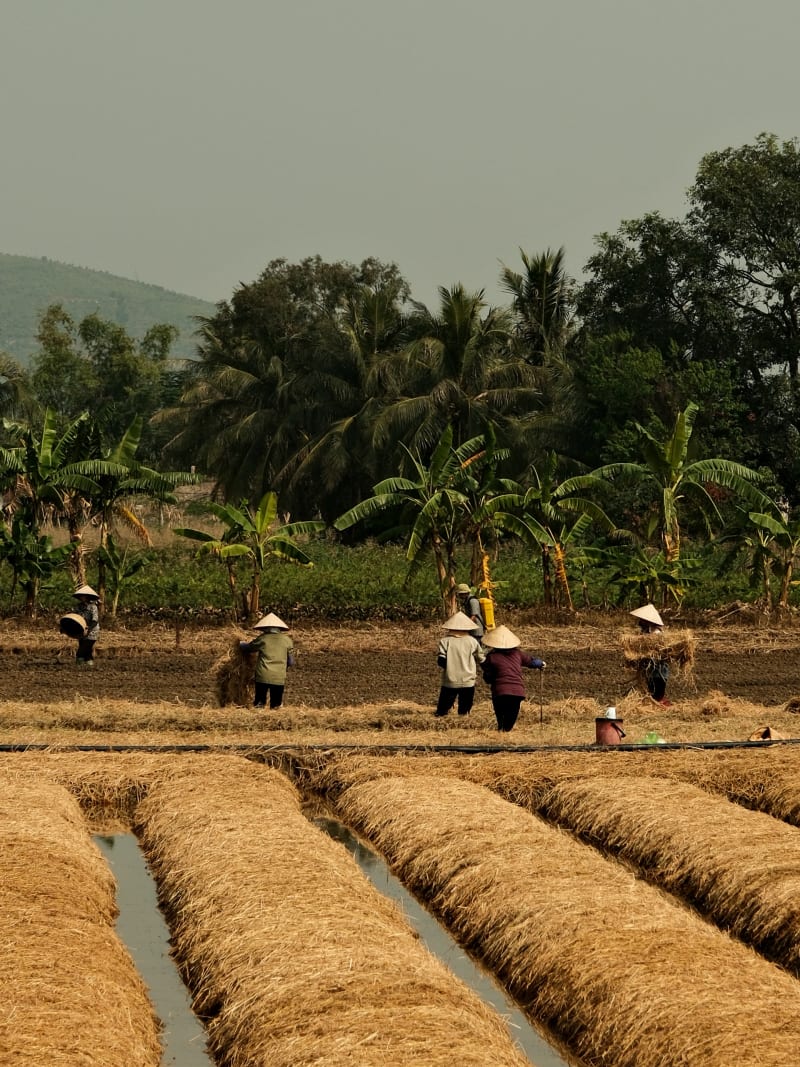 Vietnam travel photography — 41