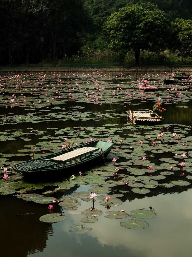 Vietnam travel photography — 44