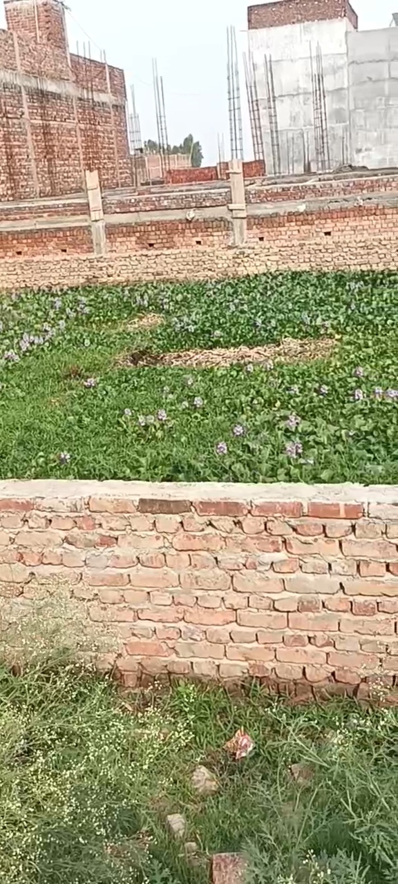 View 2