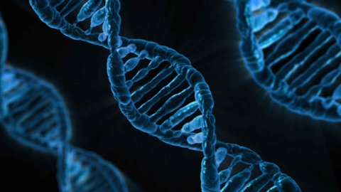 dna rnc