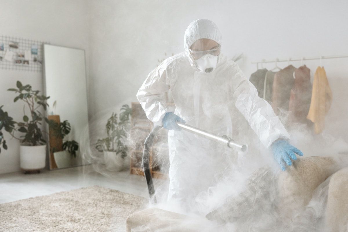 cleaning in Texas