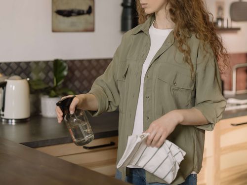How to maintain a healthy home - Tidyex