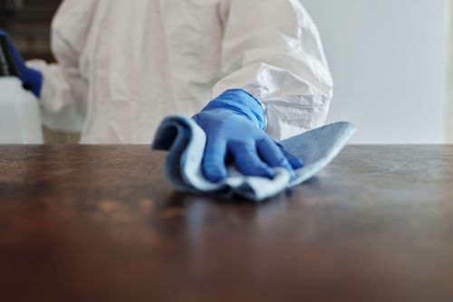 How to maintain a healthy home