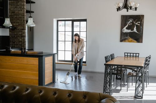 Maintain a healthy home - Tidyex