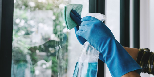 Maintain a healthy home - Tidyex