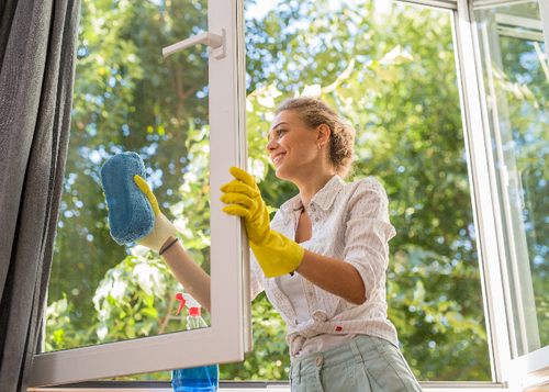 Washing Windows