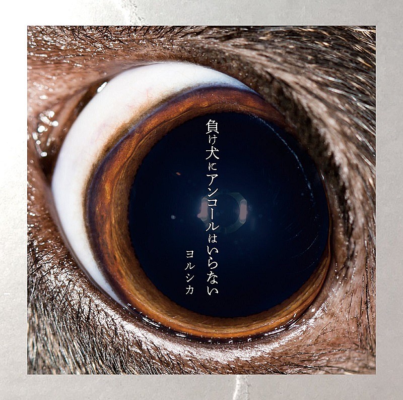 ただ君に晴れ / ヨルシカ