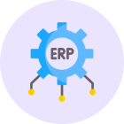 Custom ERP/CRM systems