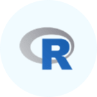 R Programming Language
