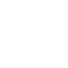 Model Development and Training