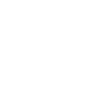 AI Strategy and Model Selection