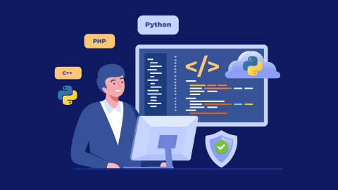 Choose Us for Python Developers in the United States