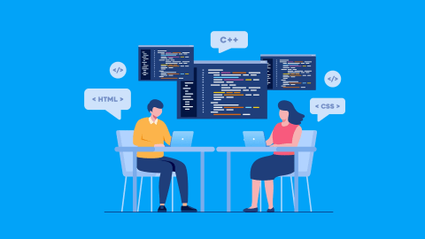 Custom Software Development Company in California