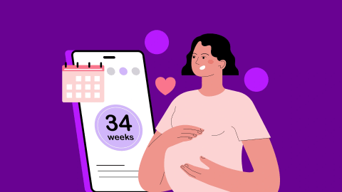 How Much Does It Cost to Build a Pregnancy Tracking App like Ovia