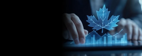Legacy System Modernization Services in Canada