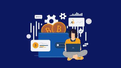 Much Does It Cost to Build a Crypto Wallet