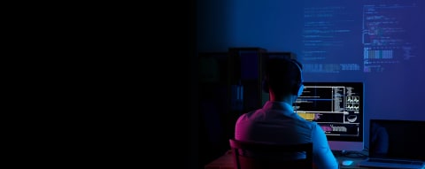 SharePoint Development Services Banner