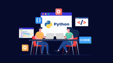 Thirteen Reasons to Hire Python Developers