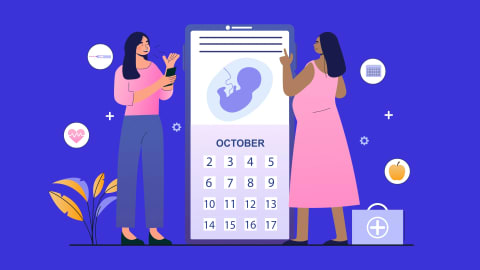 Top 10 Pregnancy Apps in 2024 & Beyond Banner