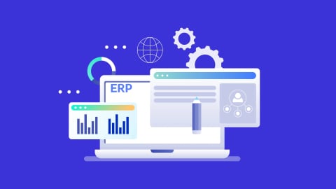 What is ERP Software
