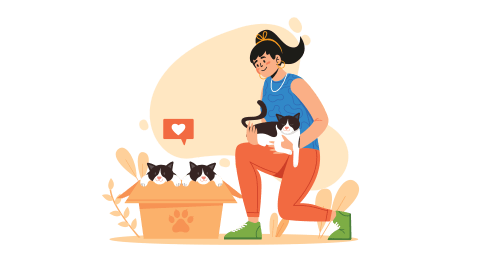 How To Build a Pet Care App Like Buddies?