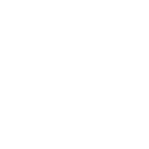 Feature Expansion