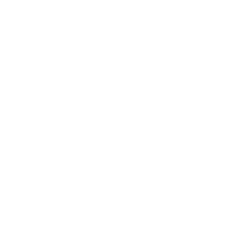 Computer Vision