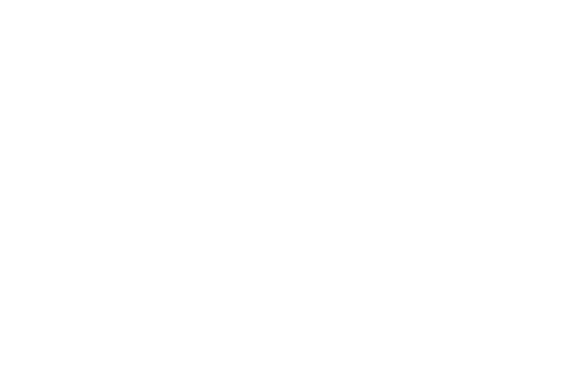 T5