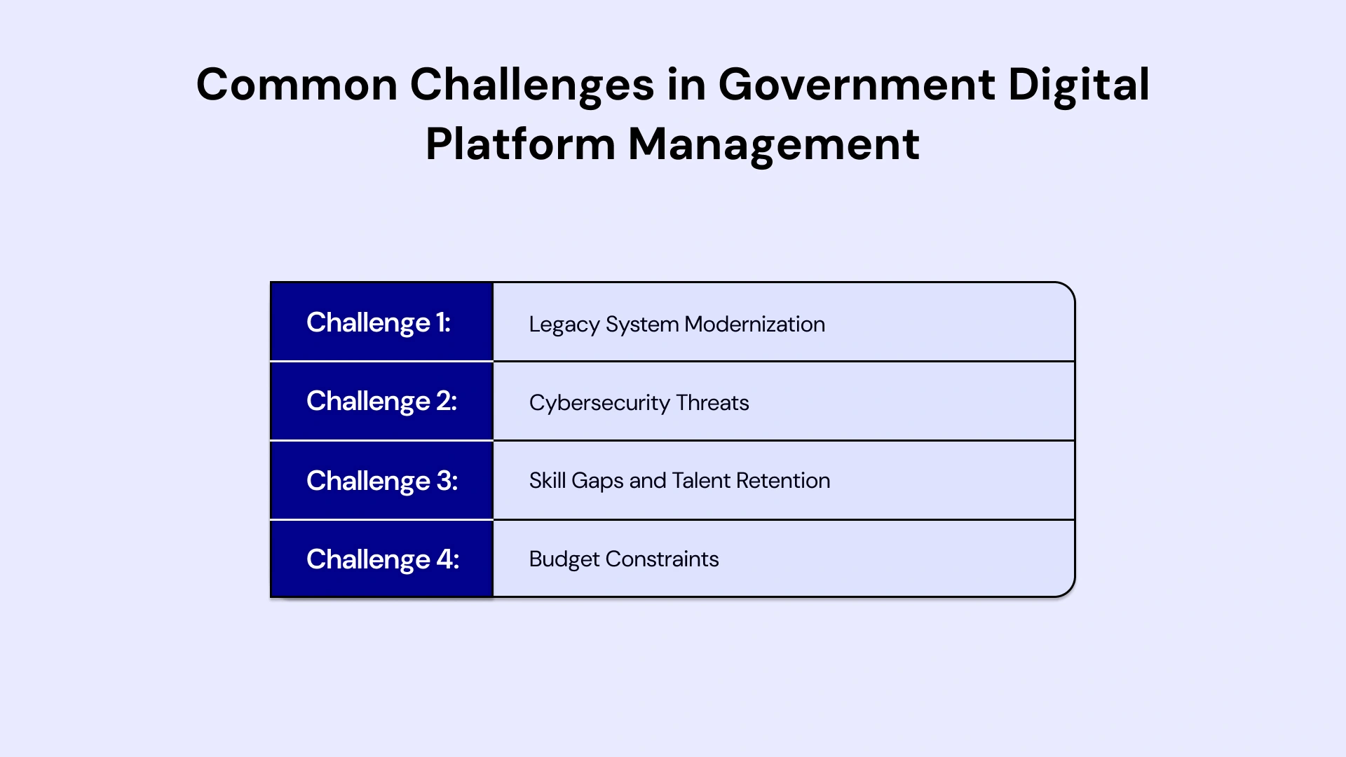 Challenges in Government Digital Platform Management